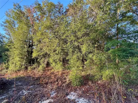 NW 16th Place, Ocala, FL 34482 photo 7