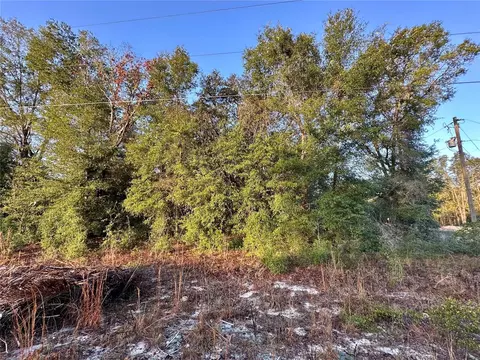 NW 16th Place, Ocala, FL 34482 photo 6