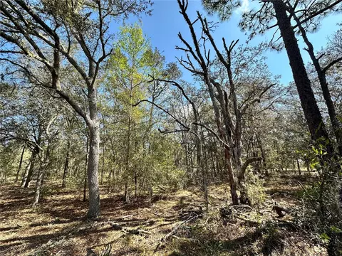 tbd NE 68th Pl, Bronson, FL 32621 photo 5