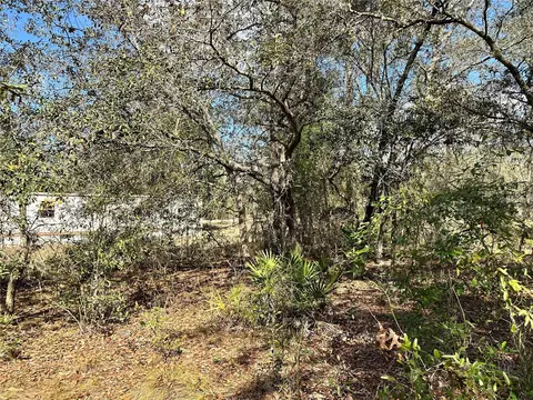 tbd NE 68th Pl, Bronson, FL 32621 photo 8