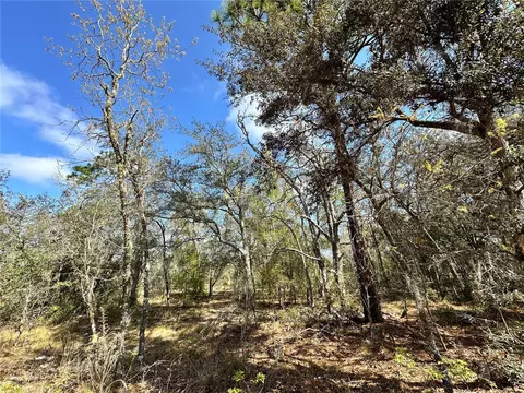 tbd NE 68th Pl, Bronson, FL 32621