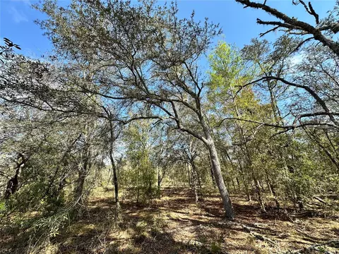 tbd NE 68th Pl, Bronson, FL 32621 photo 6