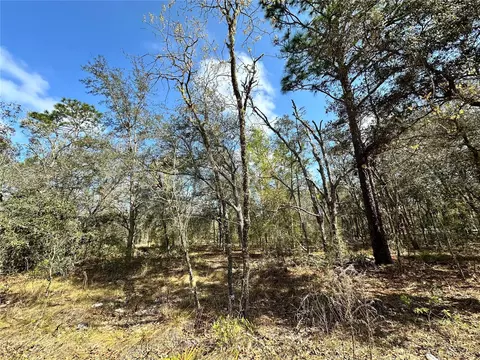 tbd NE 68th Pl, Bronson, FL 32621 photo 4