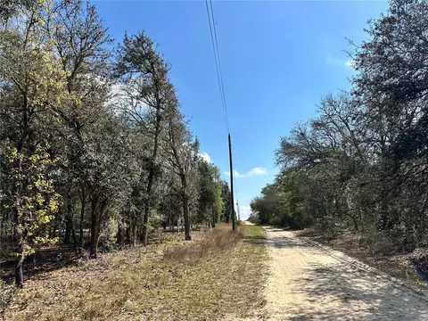 tbd NE 68th Pl, Bronson, FL 32621 photo 2