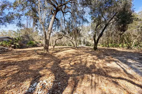 tbd SE 256th Ave, Umatilla, FL 32784 photo 26
