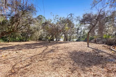tbd SE 256th Ave, Umatilla, FL 32784 photo 23