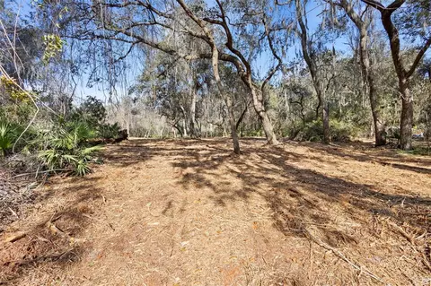 tbd SE 256th Ave, Umatilla, FL 32784 photo 7