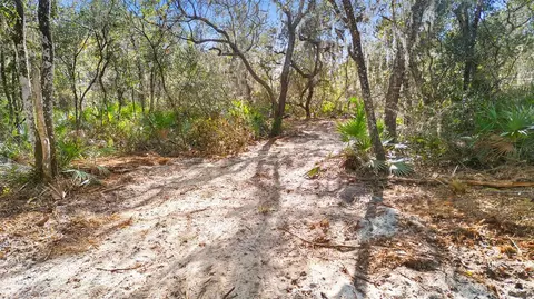 tbd SE 256th Ave, Umatilla, FL 32784 photo 20