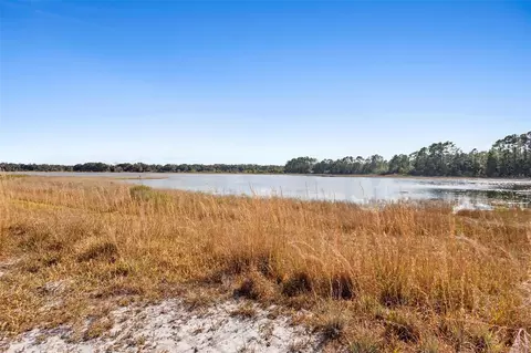 tbd SE 256th Ave, Umatilla, FL 32784 photo 4