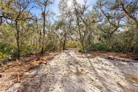tbd SE 256th Ave, Umatilla, FL 32784 photo 6
