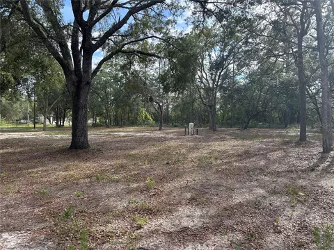 13751 NE 5th St, Williston, FL 32696 photo 16