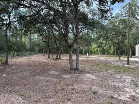 13751 NE 5th St, Williston, FL 32696 photo 17