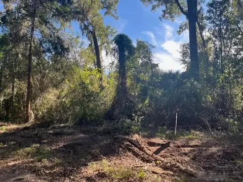 tbd NW 160th St, Reddick, FL 32686