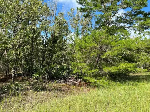 tbd SW 93rd St, Dunnellon, FL 34432