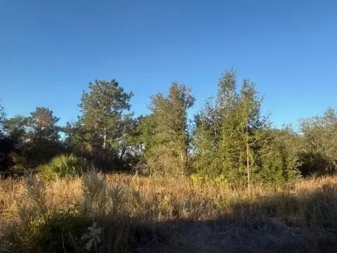 Magnolia Drive, Ocklawaha, FL 32179