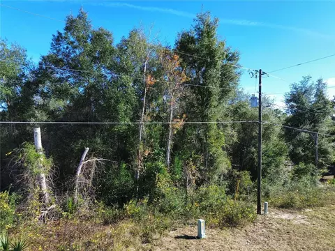 0 SE 178th Ave, Silver Springs, FL 34488