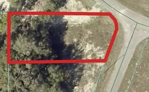 00 Maple Ln, Ocklawaha, FL 32179