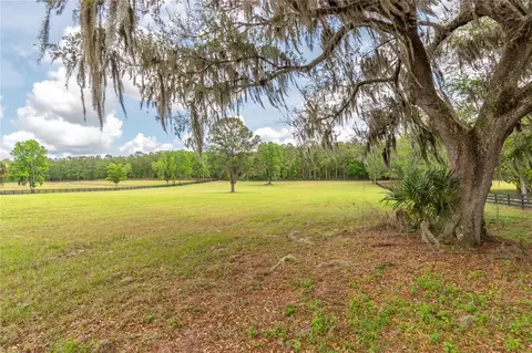 tbd Hwy 329, Reddick, FL 32686 photo 12