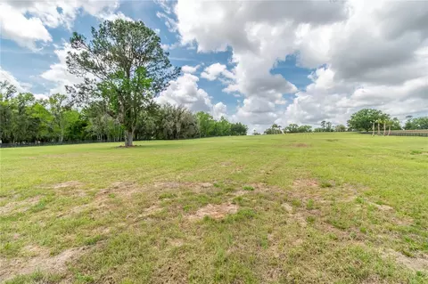 tbd Hwy 329, Reddick, FL 32686 photo 13