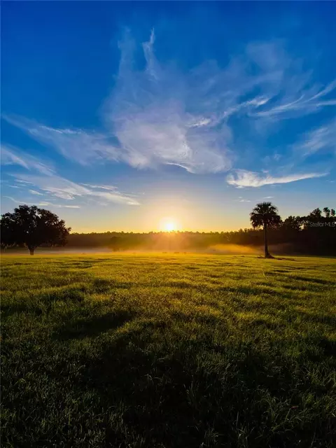 tbd Hwy 329, Reddick, FL 32686 photo 19