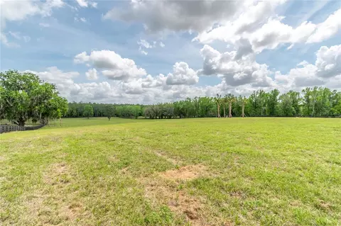tbd Hwy 329, Reddick, FL 32686 photo 9