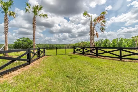tbd Hwy 329, Reddick, FL 32686 photo 3