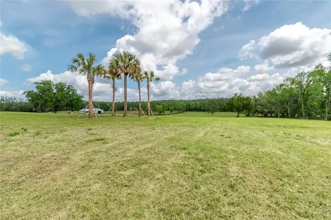 tbd Hwy 329, Reddick, FL 32686 photo 7