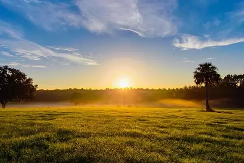 tbd Hwy 329, Reddick, FL 32686