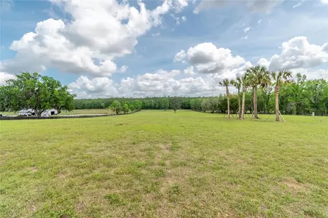 tbd Hwy 329, Reddick, FL 32686 photo 8