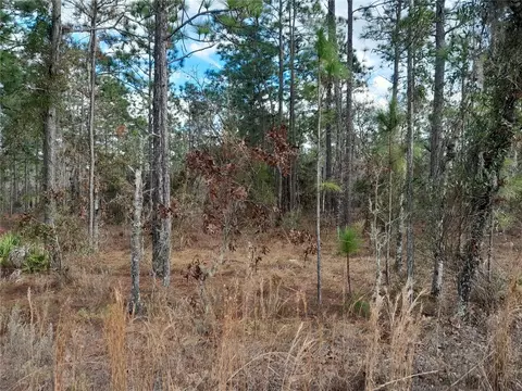 tbd NE 150th Ave, Williston, FL 32696