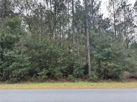 SW Beach Boulevard, Dunnellon, FL 34431