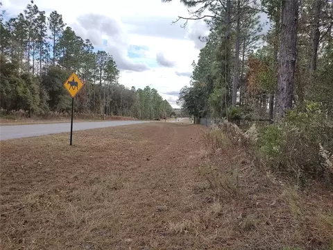 SE 120 Court, Morriston, FL 32668