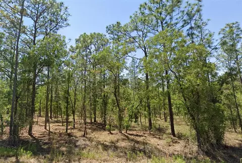 00 NW Narcissus Rd, Dunnellon, FL 34431