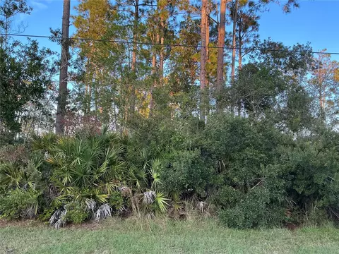 171 Ryberry Dr, Palm Coast, FL 32164