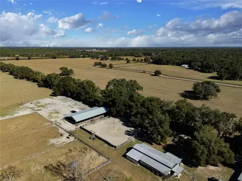 View/Area - 17885 NE 2nd Pl, Williston, FL 32696 photo 4 of 9