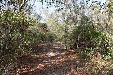 81 Clouds Ave, Interlachen, FL 32148 photo 26