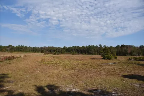 81 Clouds Ave, Interlachen, FL 32148 photo 2