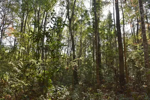 81 Clouds Ave, Interlachen, FL 32148 photo 54