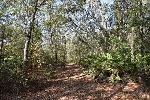 81 Clouds Ave, Interlachen, FL 32148 photo 46
