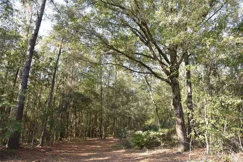 81 Clouds Ave, Interlachen, FL 32148 photo 4