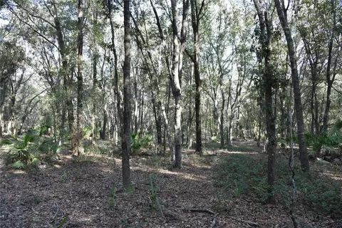 81 Clouds Ave, Interlachen, FL 32148 photo 52