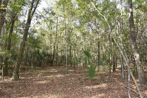 81 Clouds Ave, Interlachen, FL 32148 photo 43