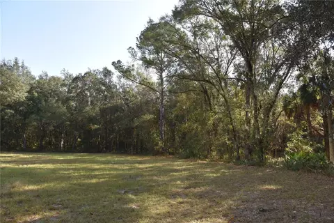 81 Clouds Ave, Interlachen, FL 32148 photo 9
