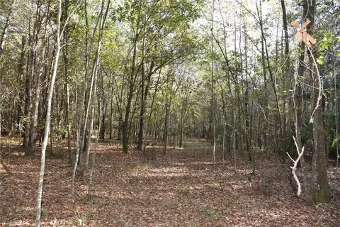 81 Clouds Ave, Interlachen, FL 32148 photo 42