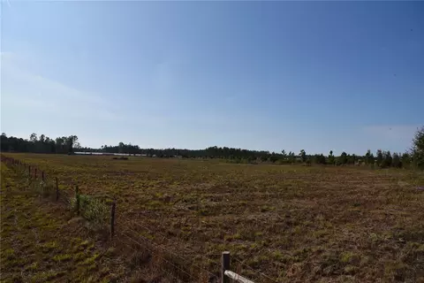 81 Clouds Ave, Interlachen, FL 32148 photo 38