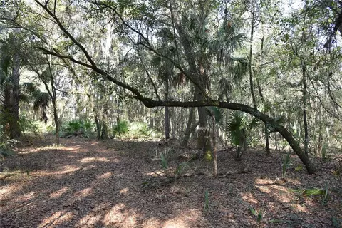 81 Clouds Ave, Interlachen, FL 32148 photo 25