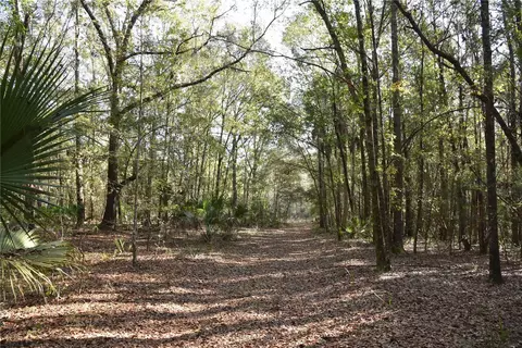 81 Clouds Ave, Interlachen, FL 32148 photo 32
