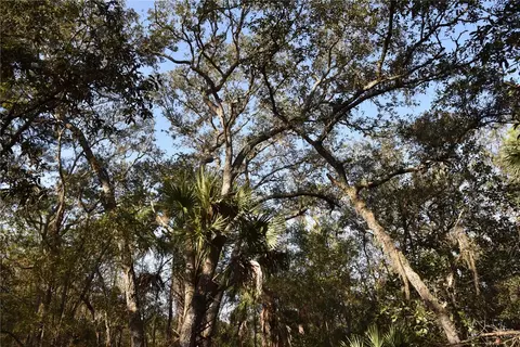 81 Clouds Ave, Interlachen, FL 32148 photo 41