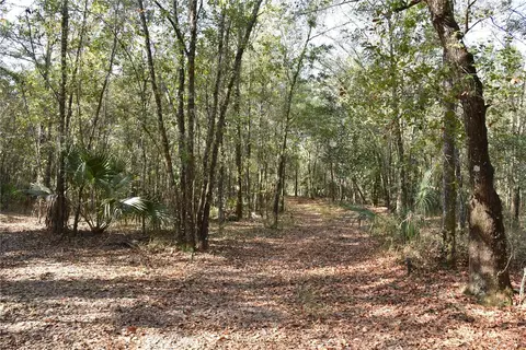 81 Clouds Ave, Interlachen, FL 32148 photo 23