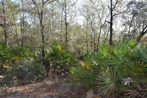 81 Clouds Ave, Interlachen, FL 32148 photo 45